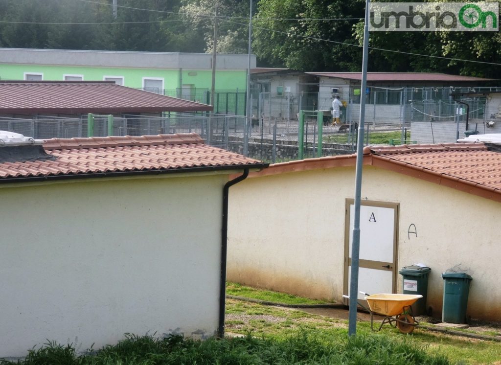 Terni Canile Sociale Bando Per Colleluna Umbriaon