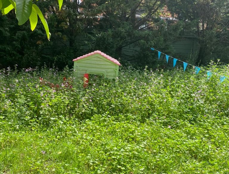 Terni Sos Erba Alta In Via Xx Settembre Dove I Bambini Dovrebbero