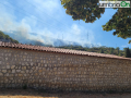 Incendio-boschivo-Papigno-Monte-Argento4544