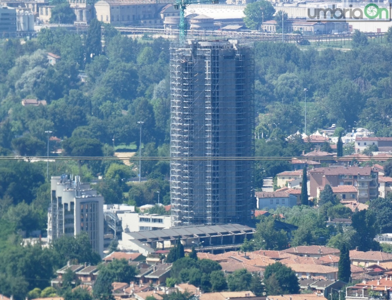 Terni, Tulipano all'asta Nuova tappa a maggio | umbriaON