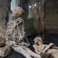 Cascata, museo mummie e S. Pietro in Valle: ticket da 11 euro