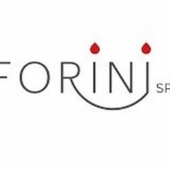 Forini Spa: seminario per consolidare ‘l’ecosistema’ di valori