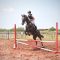 Equitazione, c’è la 3° tappa del concorso regionale di salto ad ostacoli