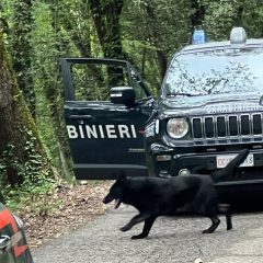 Boschi-bivacchi fra Terni e Spoleto: maxi attività dei carabinieri per ‘liberarli’