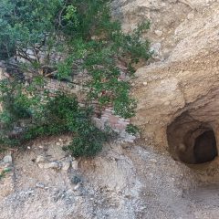 «Vegetazione infesta le grotte eremitiche di San Pietro in Valle»