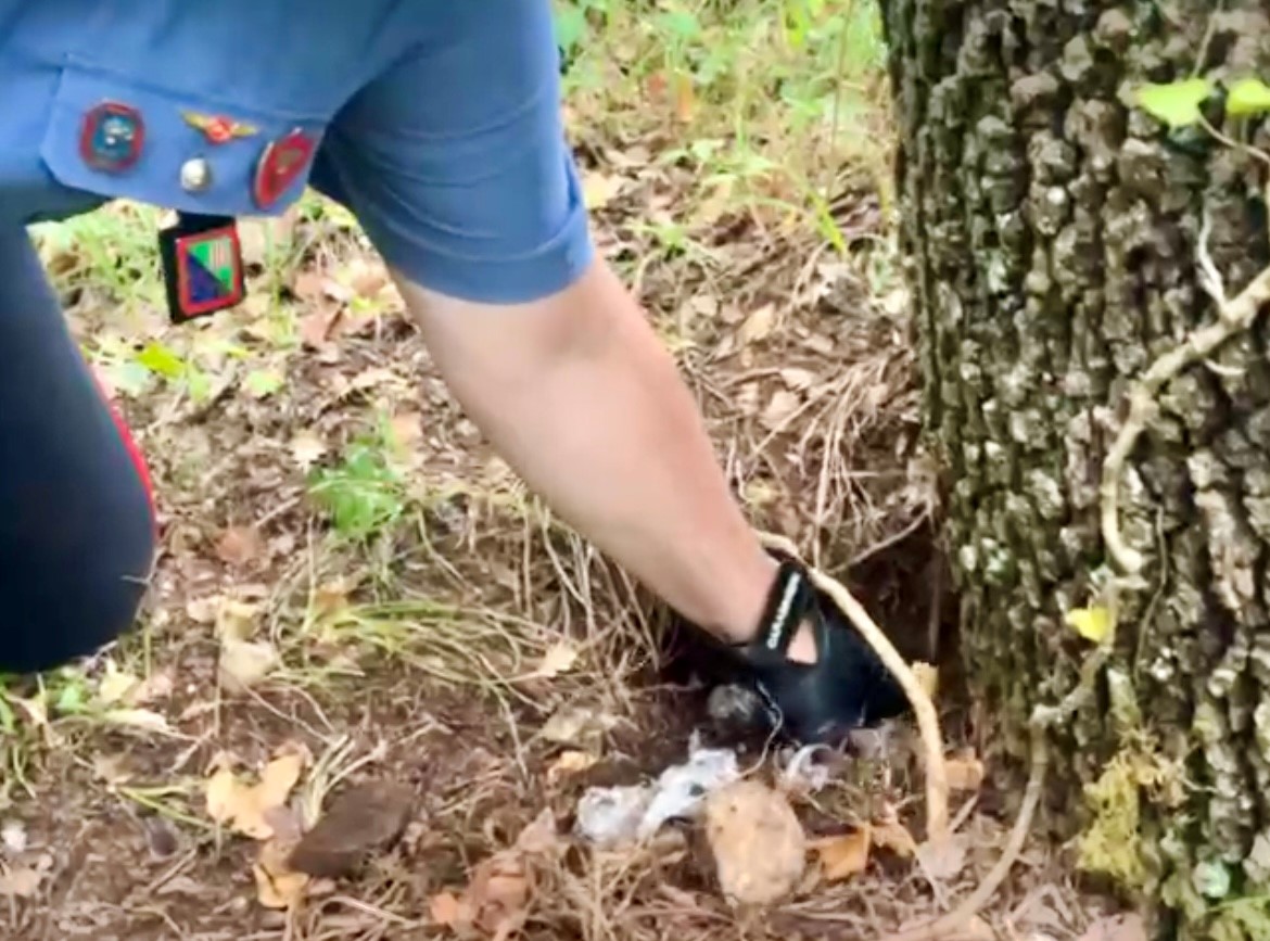 Va A Funghi Con Il Cane E Trova Quattri Etti Di Cocaina | UmbriaON