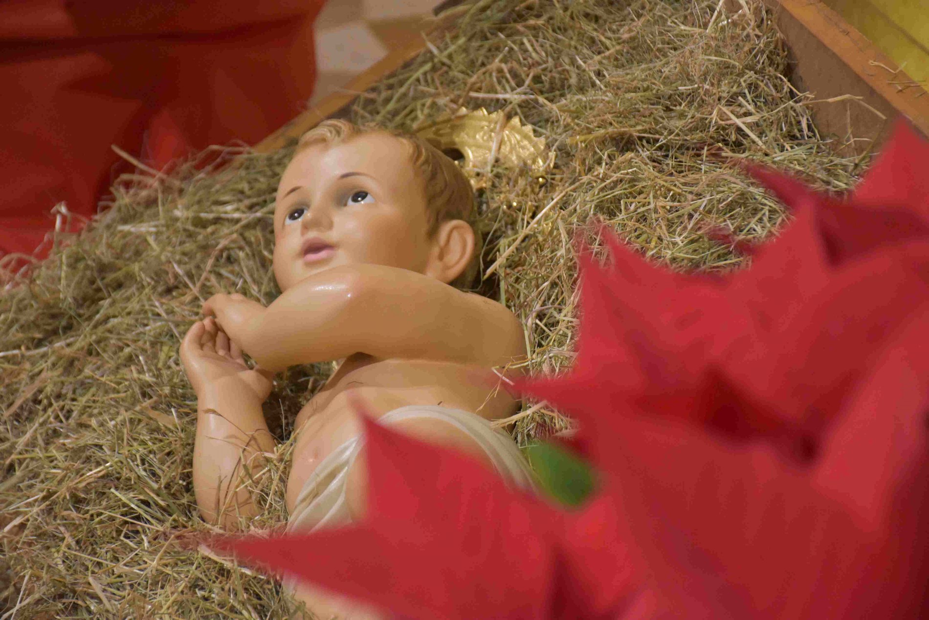 Terni la messa della notte di Natale in duomo Mentalità limitate non